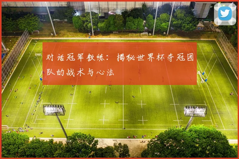 对话冠军教练:揭秘世界杯夺冠团队的战术与心法