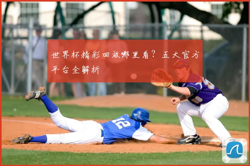 世界杯精彩回放哪里看？五大官方平台全解析