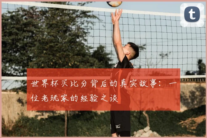 世界杯买比分背后的真实故事:一位老玩家的经验之谈